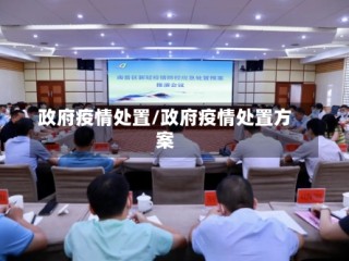 政府疫情处置/政府疫情处置方案