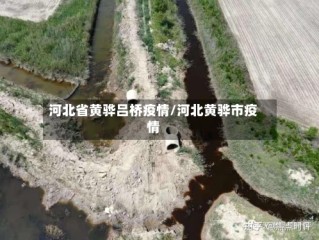 河北省黄骅吕桥疫情/河北黄骅市疫情