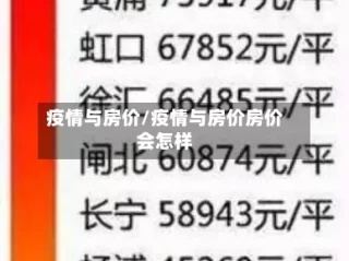 疫情与房价/疫情与房价房价会怎样