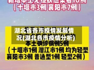 湖北省各市疫情发展情况(湖北各市疫情分析)