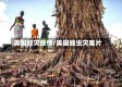 美国蝗灾疫情/美国蝗虫灾难片
