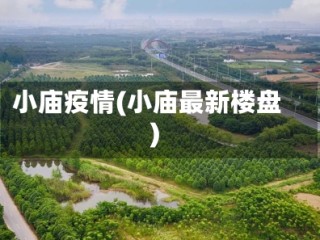 小庙疫情(小庙最新楼盘)