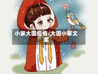 小家大国疫情/大国小家文案