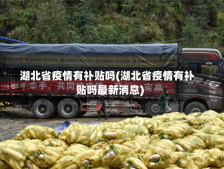 湖北省疫情有补贴吗(湖北省疫情有补贴吗最新消息)