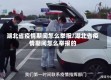 湖北省疫情期间怎么举报/湖北省疫情期间怎么举报的