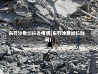 东努沙登加拉省疫情(东努沙登加拉群岛)