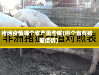 猪场疫情哪个省严重些呢(哪个省有猪瘟疫情)