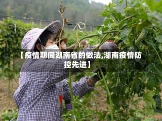【疫情期间湖南省的做法,湖南疫情防控先进】