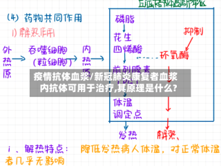 疫情抗体血浆/新冠肺炎康复者血浆内抗体可用于治疗,其原理是什么?