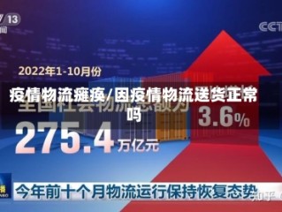 疫情物流瘫痪/因疫情物流送货正常吗