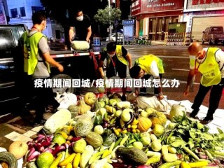 疫情期间回城/疫情期间回城怎么办
