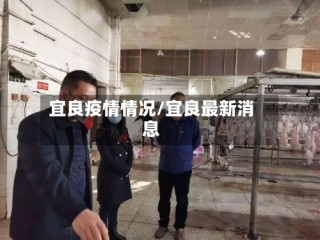宜良疫情情况/宜良最新消息
