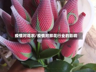 疫情对花农/疫情对鲜花行业的影响