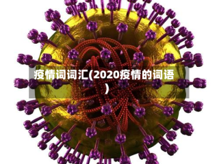 疫情词词汇(2020疫情的词语)