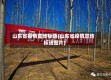 山东省疫情宣传标语(山东省疫情宣传标语图片)