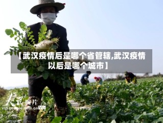 【武汉疫情后是哪个省管辖,武汉疫情以后是哪个城市】