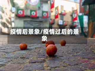疫情后景象/疫情过后的景象