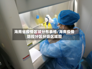 海南省疫情区域分布表格/海南疫情防控分区分级区域图
