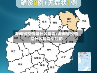 海南省疫情是什么病毒/海南省疫情是什么病毒引起的