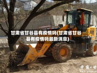 甘肃省甘谷县有疫情吗(甘肃省甘谷县有疫情吗最新消息)