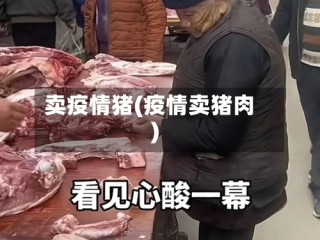 卖疫情猪(疫情卖猪肉)