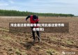 河北省迁安有疫情吗(河北省迁安市有疫情吗)