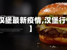 【汉堡最新疫情,汉堡行情】