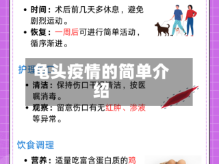 龟头疫情的简单介绍