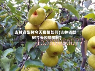 吉林省梨树今天疫情如何(吉林省梨树今天疫情如何)