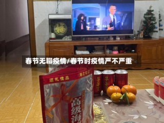 春节无聊疫情/春节时疫情严不严重