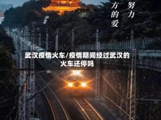 武汉疫情火车/疫情期间经过武汉的火车还停吗