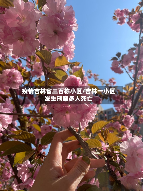 疫情吉林省三百栋小区/吉林一小区发生刑案多人死亡-第3张图片