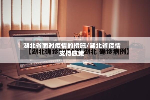 湖北省面对疫情的措施/湖北省疫情支持政策-第2张图片