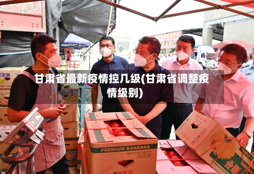 甘肃省最新疫情控几级(甘肃省调整疫情级别)-第3张图片