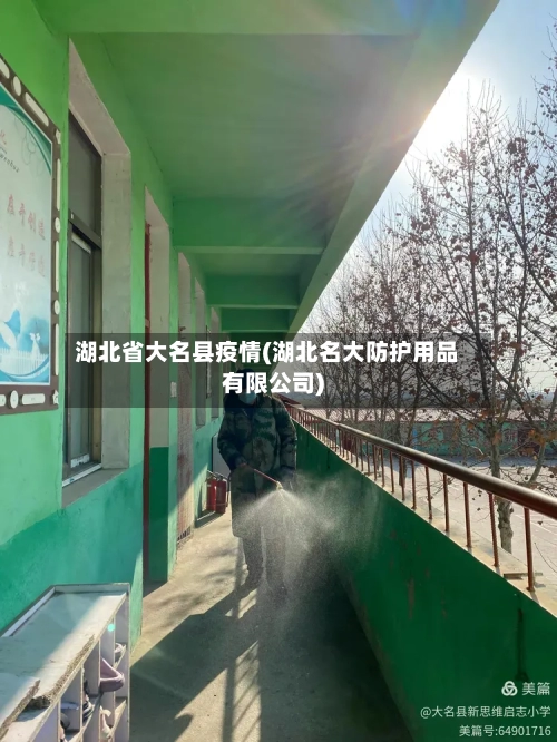 湖北省大名县疫情(湖北名大防护用品有限公司)-第3张图片