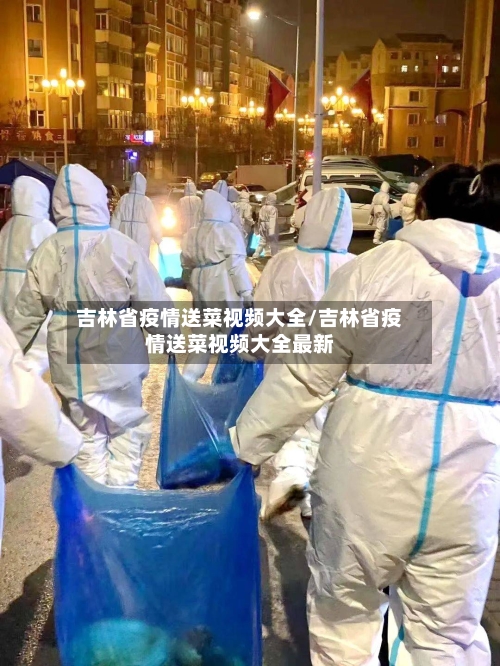 吉林省疫情送菜视频大全/吉林省疫情送菜视频大全最新-第2张图片