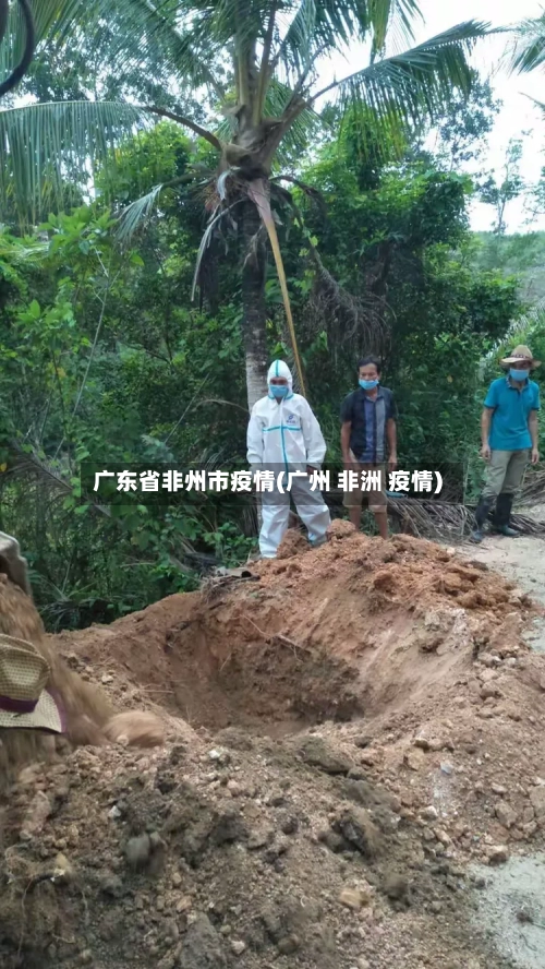 广东省非州市疫情(广州 非洲 疫情)-第2张图片