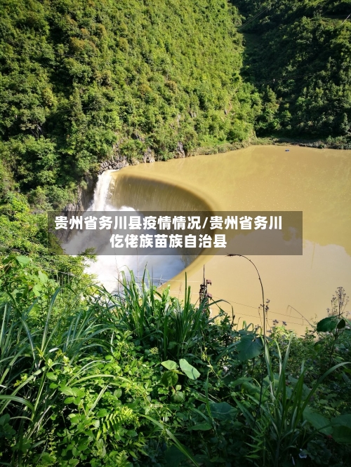 贵州省务川县疫情情况/贵州省务川仡佬族苗族自治县-第3张图片