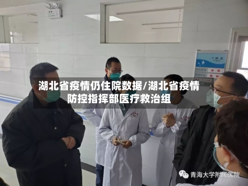 湖北省疫情仍住院数据/湖北省疫情防控指挥部医疗救治组-第1张图片