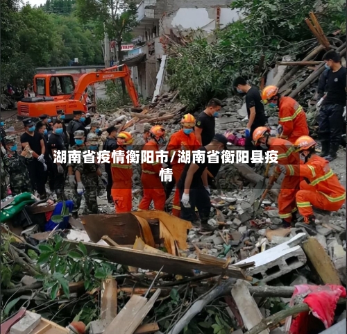 湖南省疫情衡阳市/湖南省衡阳县疫情-第3张图片