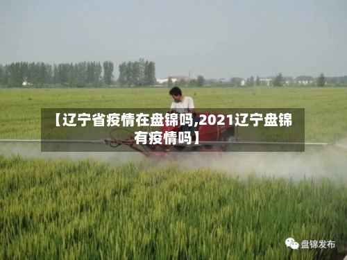 【辽宁省疫情在盘锦吗,2021辽宁盘锦有疫情吗】-第1张图片