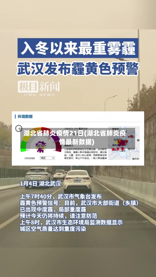 湖北省肺炎疫情21日(湖北省肺炎疫情最新数据)-第2张图片