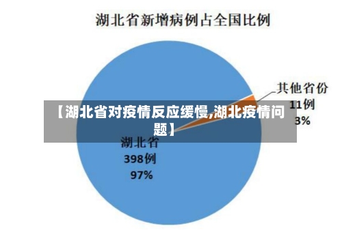 【湖北省对疫情反应缓慢,湖北疫情问题】-第1张图片