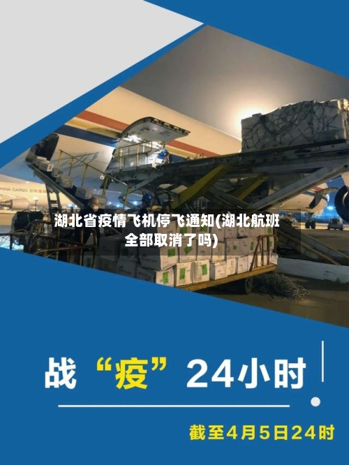 湖北省疫情飞机停飞通知(湖北航班全部取消了吗)-第1张图片