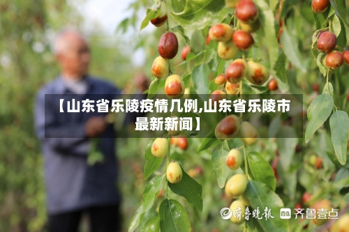 【山东省乐陵疫情几例,山东省乐陵市最新新闻】-第2张图片