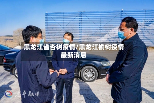 黑龙江省杏树疫情/黑龙江榆树疫情最新消息-第2张图片