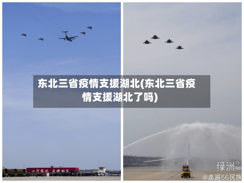 东北三省疫情支援湖北(东北三省疫情支援湖北了吗)-第3张图片