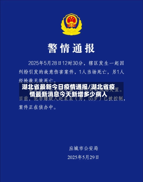 湖北省最新今日疫情通报/湖北省疫情最新消息今天新增多少病人-第3张图片