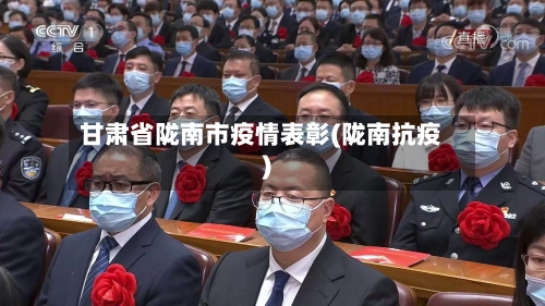 甘肃省陇南市疫情表彰(陇南抗疫)-第1张图片