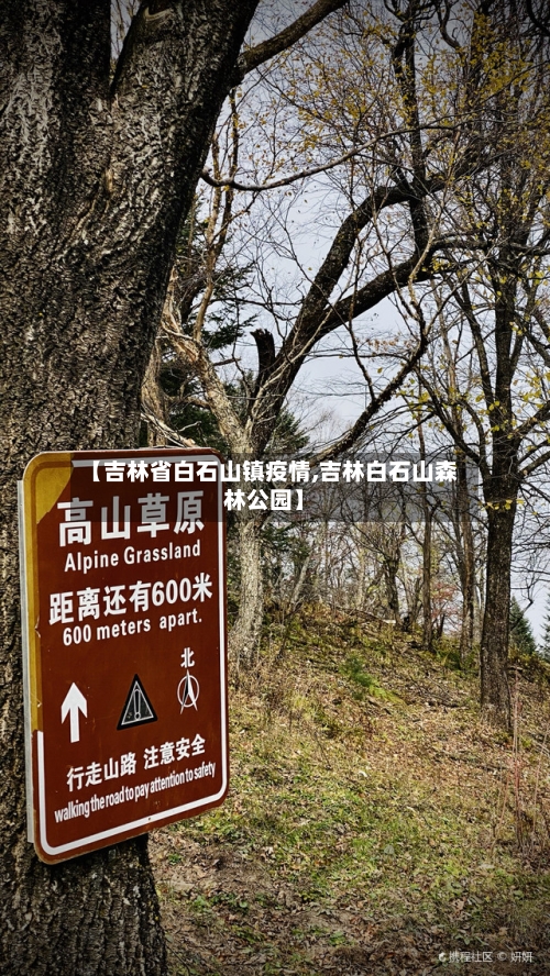 【吉林省白石山镇疫情,吉林白石山森林公园】-第1张图片